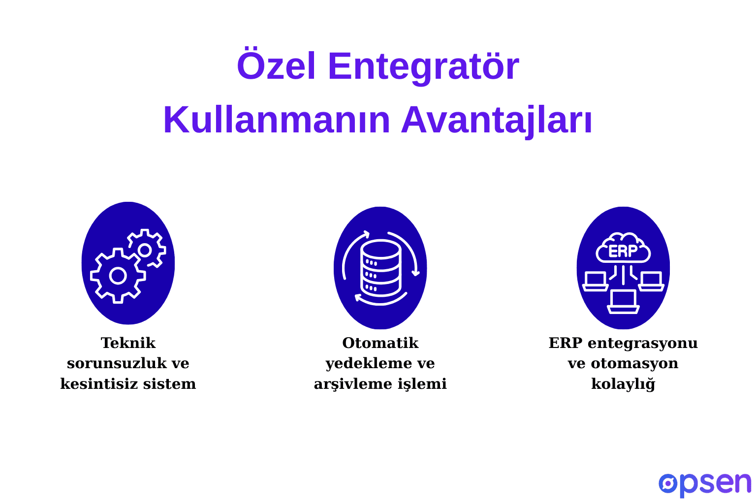 Özel Entegratör Kullanmanın Avantajları