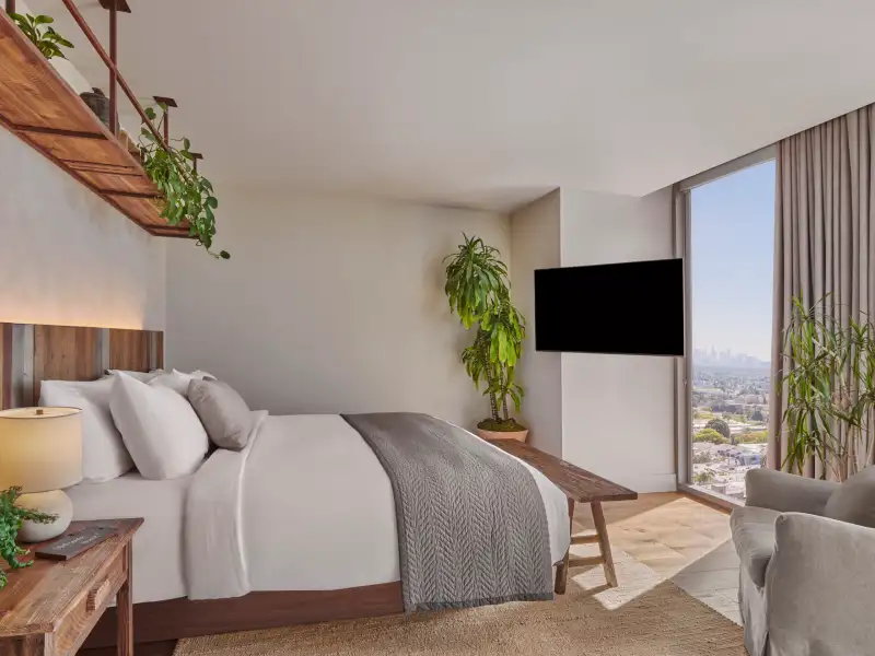 One Bedroom Suite