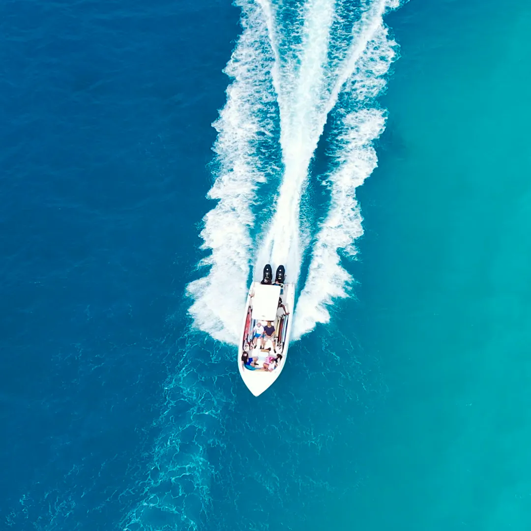 Group of people standing in a grassy field