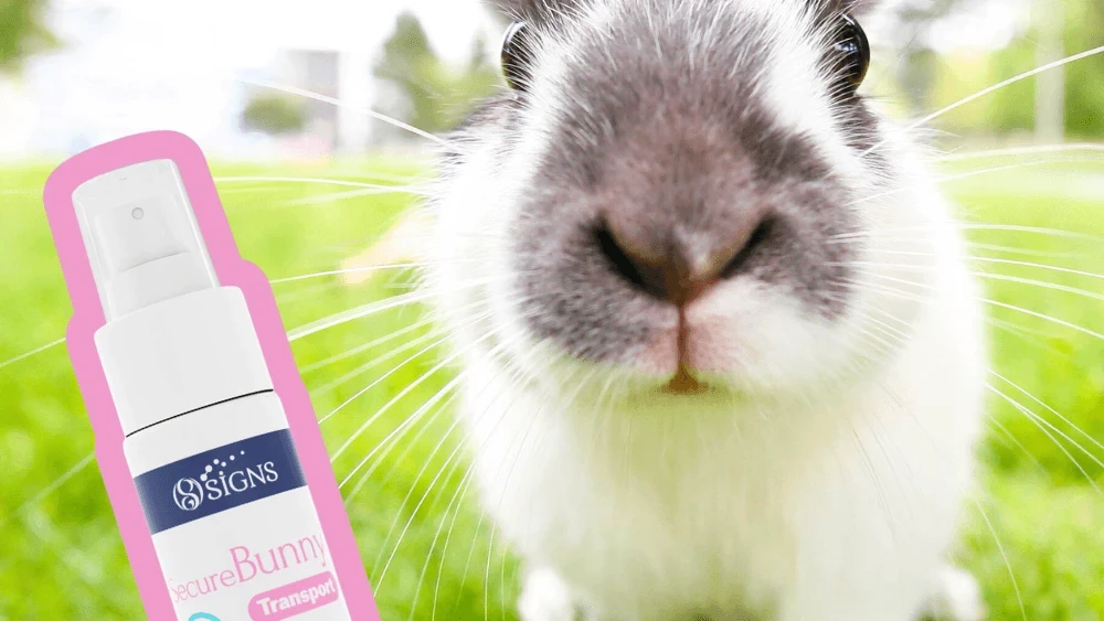 Conseil en direction artistique et harmonisation des packagings pour Signs, laboratoire spécialisé en solutions anti-stress à base de phéromones pour lapins et chevaux