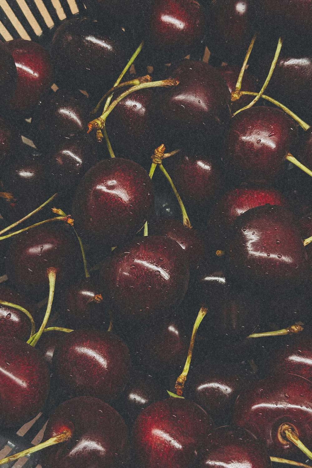 Dark red cherries with green stems piled together