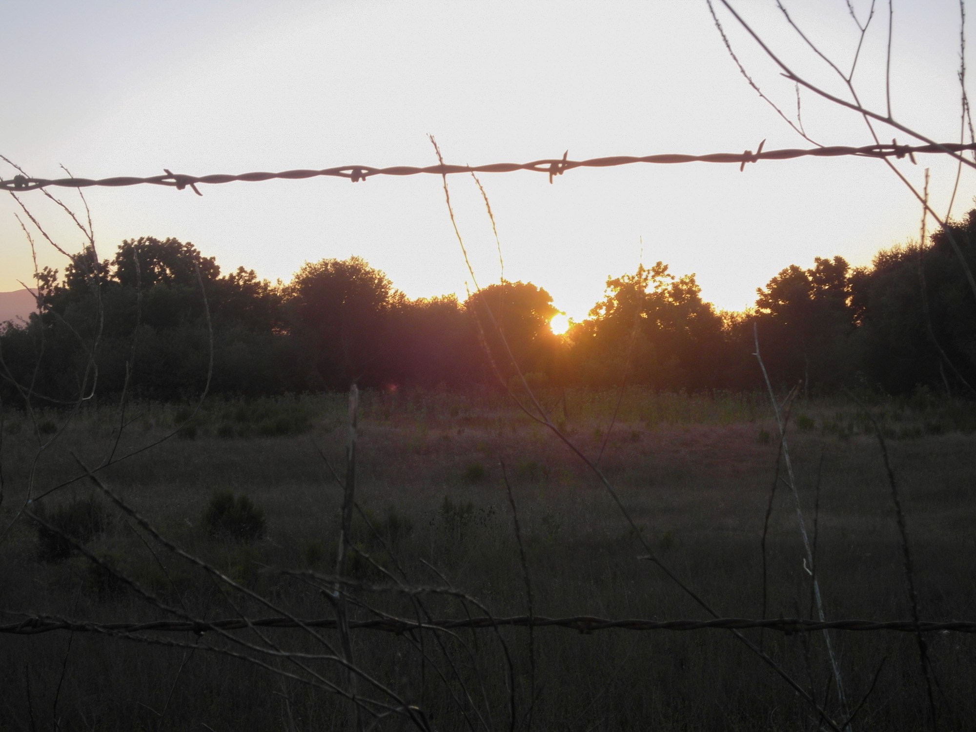 Barbed wire strung across a field at sunset, the light arriving before the barrier does.