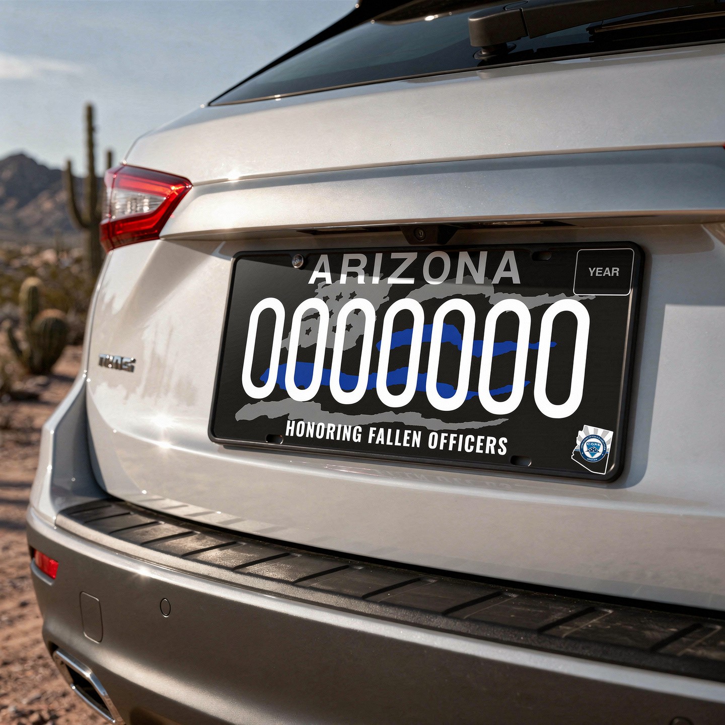 Specialty license plate on car
