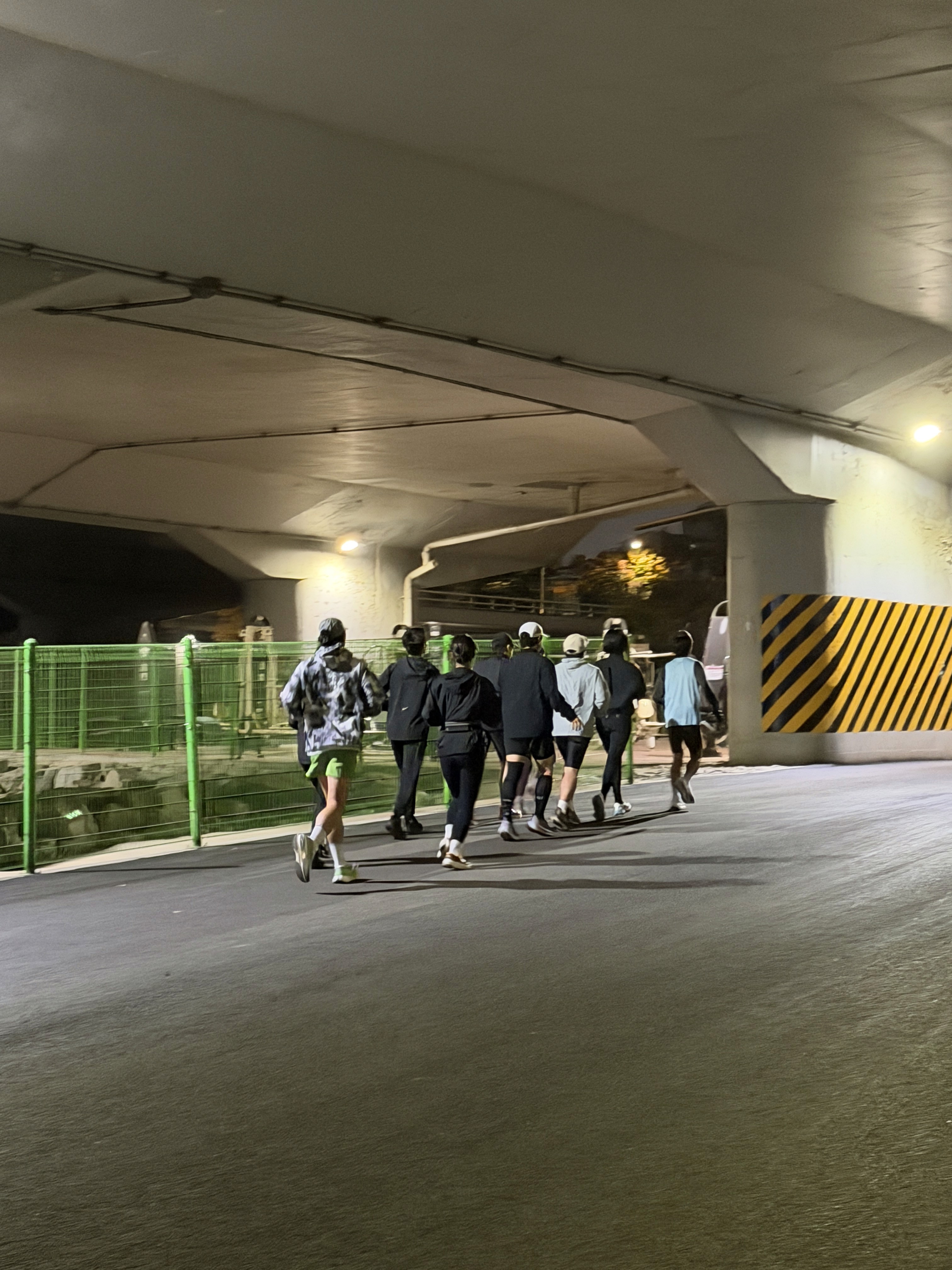 a view of a city skyline from a park