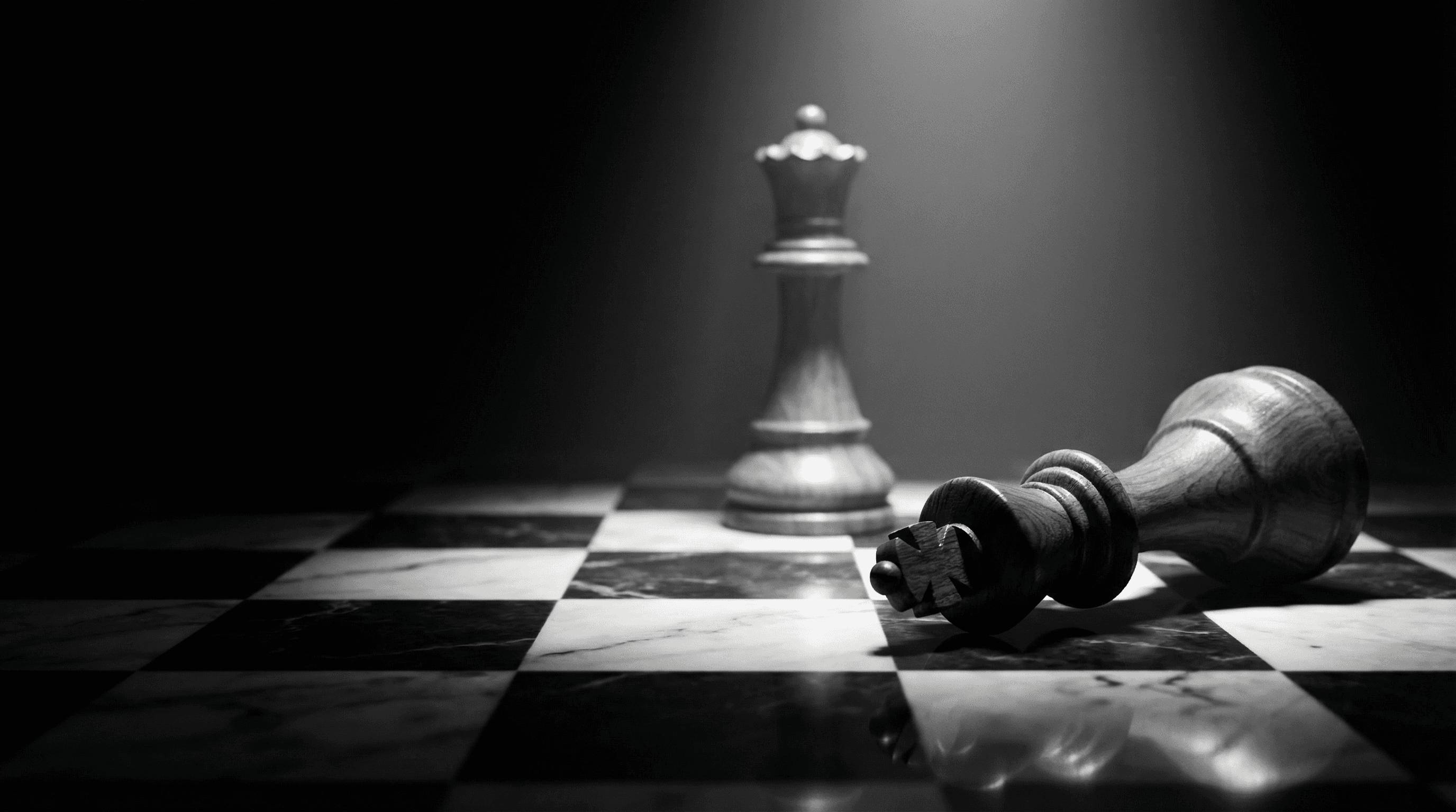 Close-up of a tree stump showing growth rings and a textured brown wood surface.