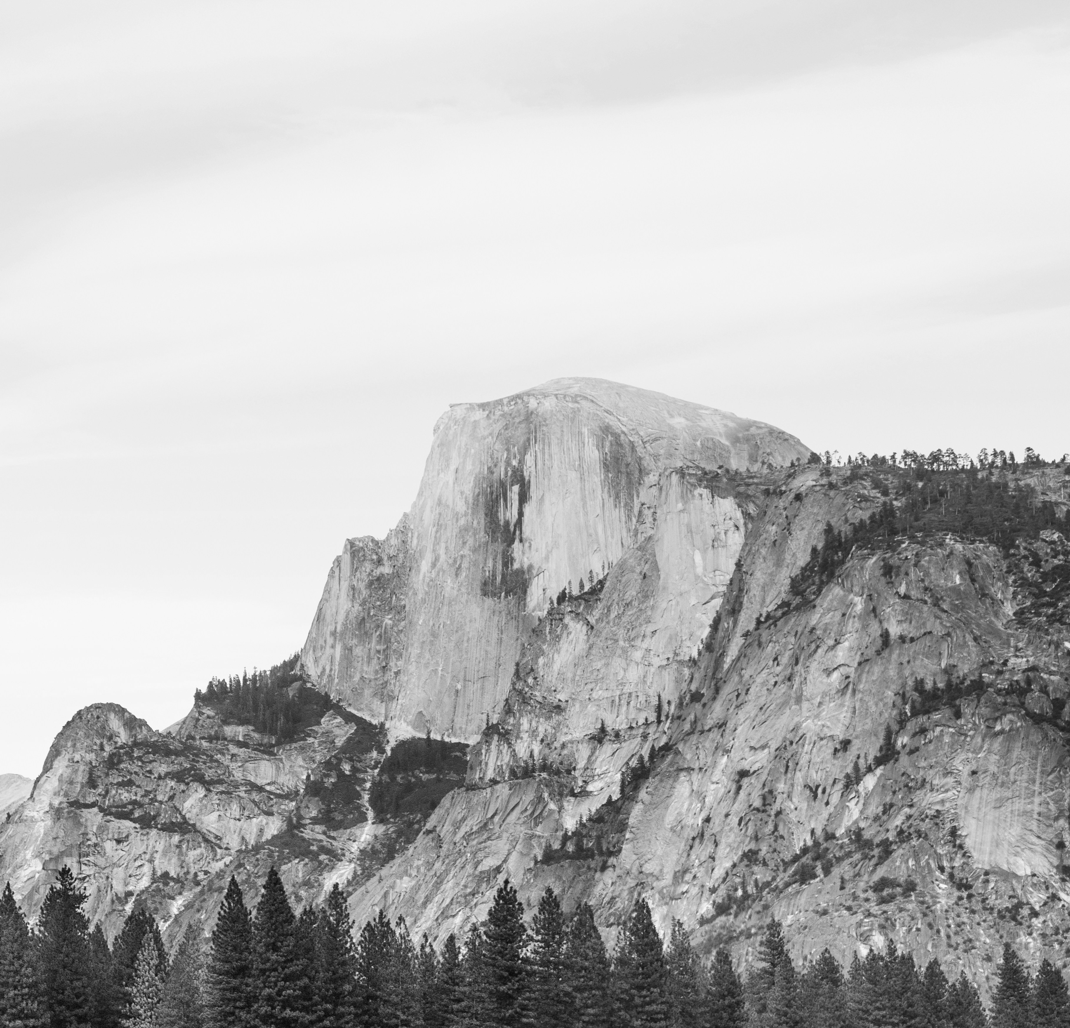 Black and white photo of a mountain with some trees in the foreground