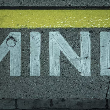 yellow and black pedestrian line