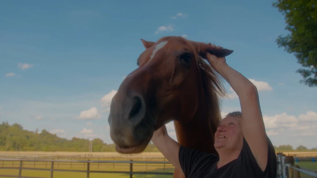 vimeo video thumbnail