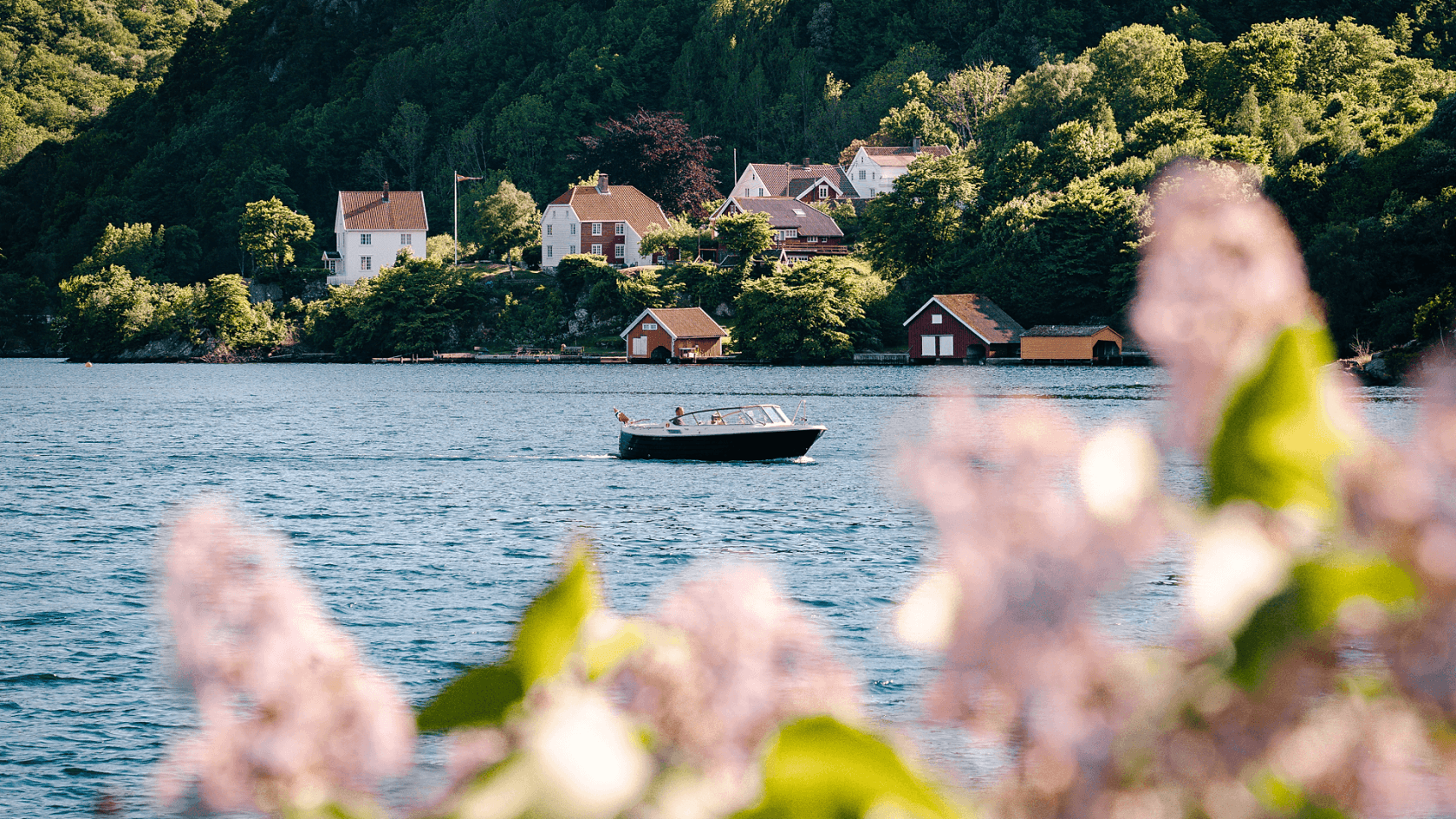 a boat driving through a Norwegian fjord