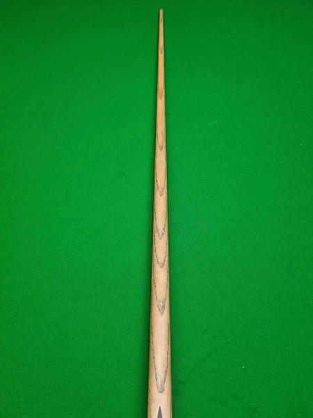 sunny akani cue model begin