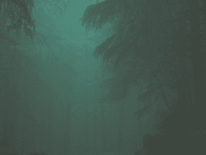 Deep teal, misty forest at night, showcasing the atmospheric imagery used in the 'The Setting as a Character' article.