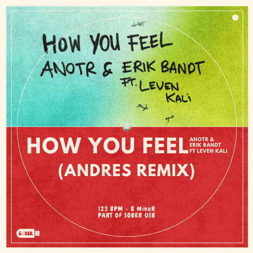 HOW YOU FEEL (remix)