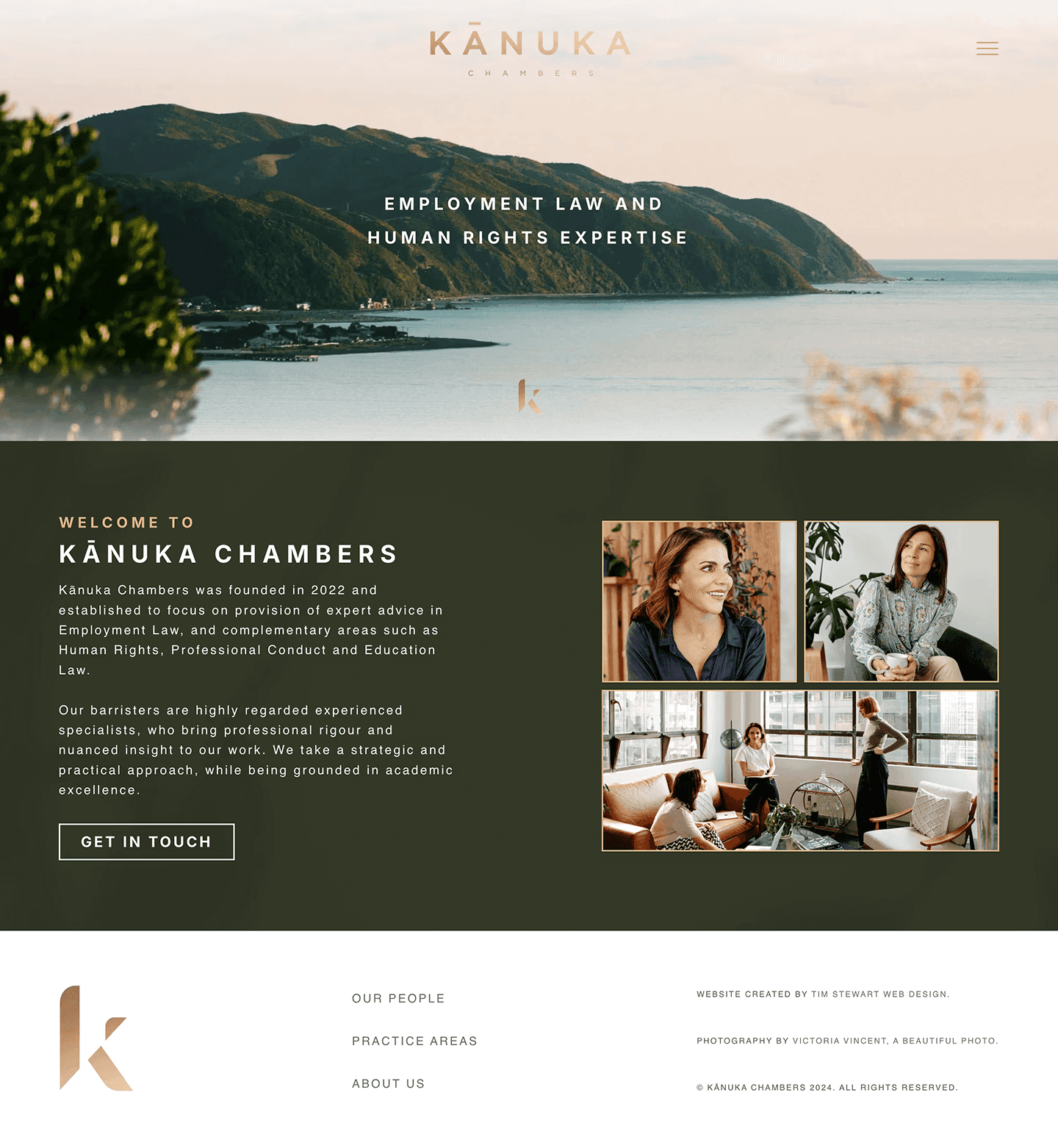 Screen capture of a website design for Wellington Law Firm