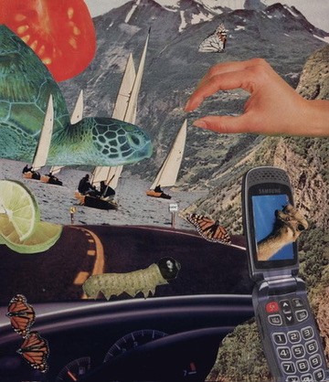 Mixed media collage with hands, sailboats, a catapilar, and vintage imagery