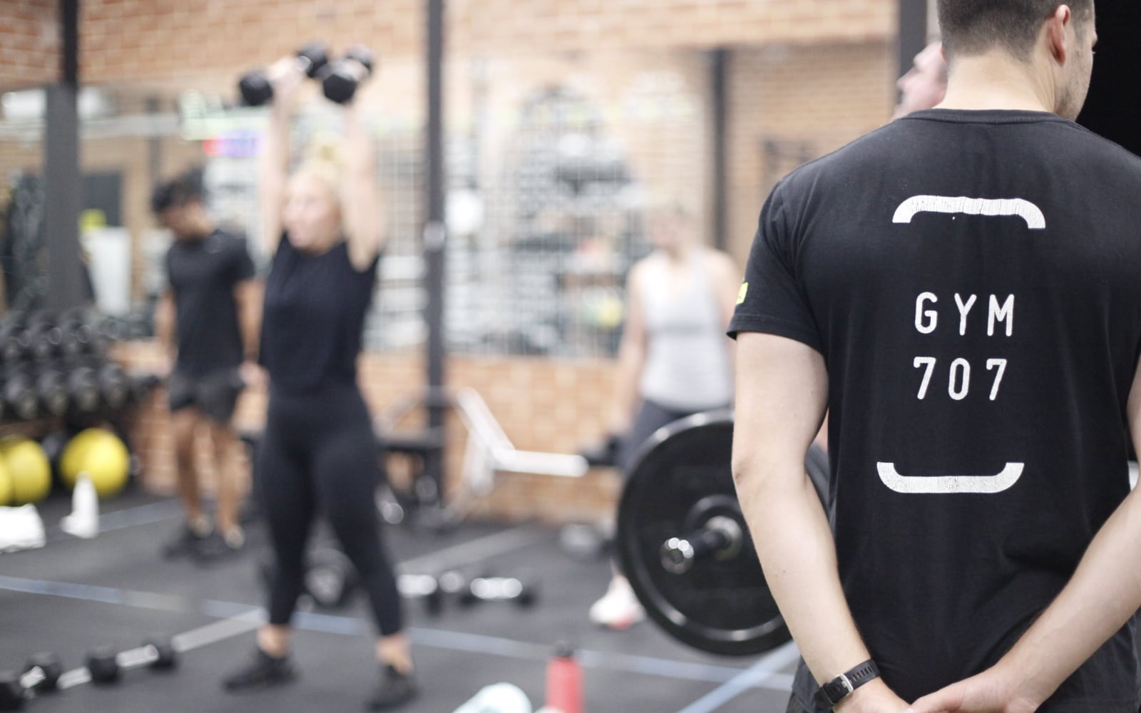 Path winding through a field of pink flowers