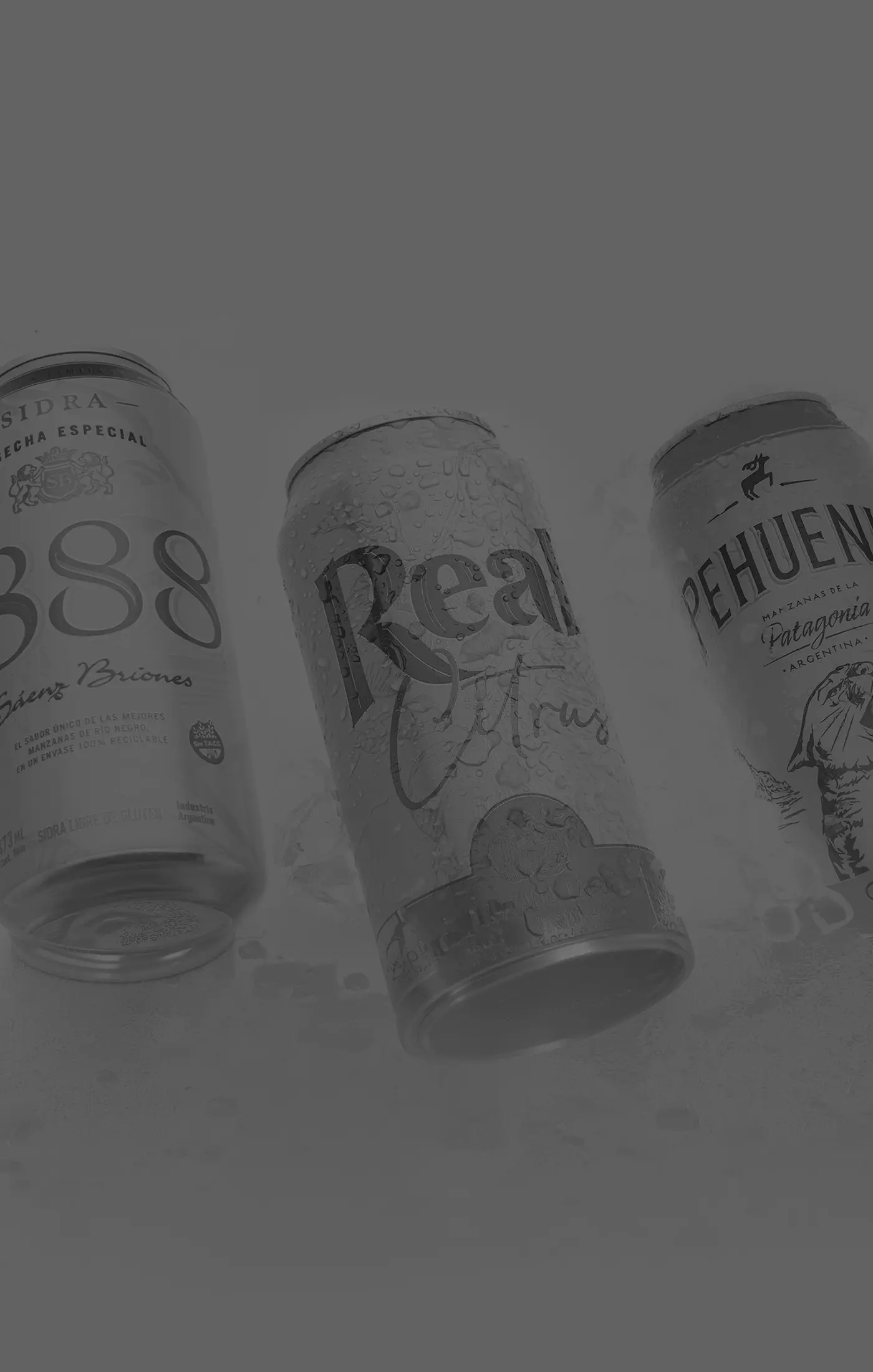 Three beverage cans with condensation: "1888 Sidra" on the left, "Real Citrus" in the center, and "Pehuenia" ginger drink on the right, suggesting refreshment.