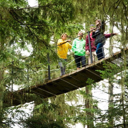 四個人站在一座高懸於茂密綠樹之中的木製吊橋上。他們穿著色彩鮮艷的衣服。