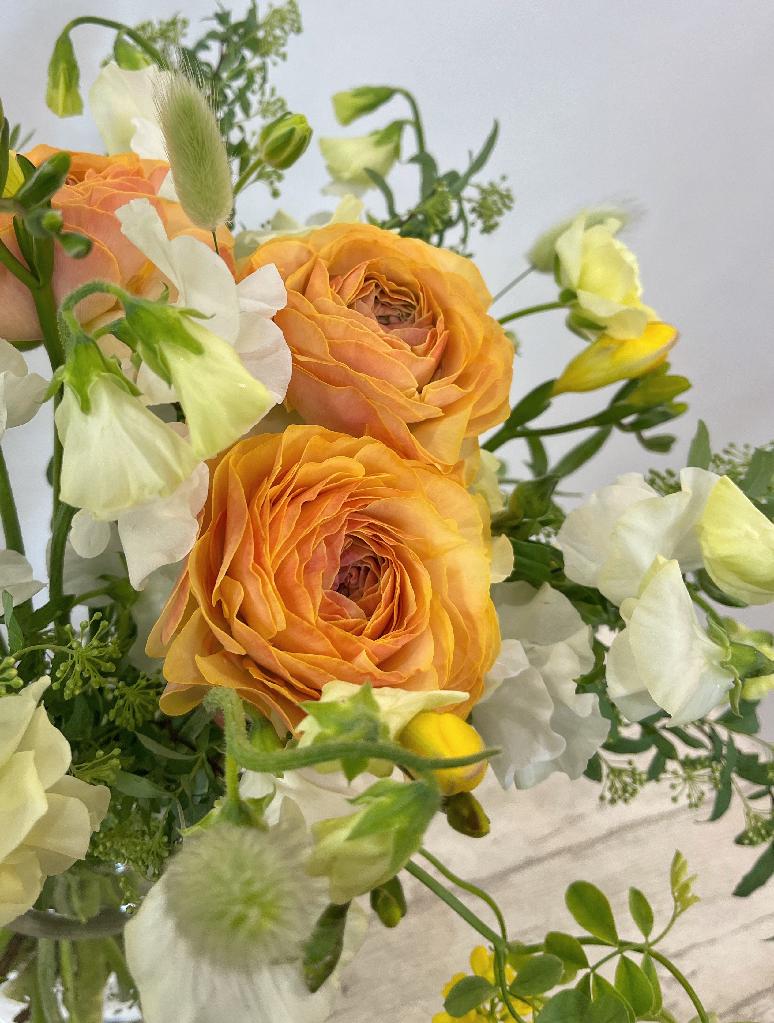 woman holding green leafed plant