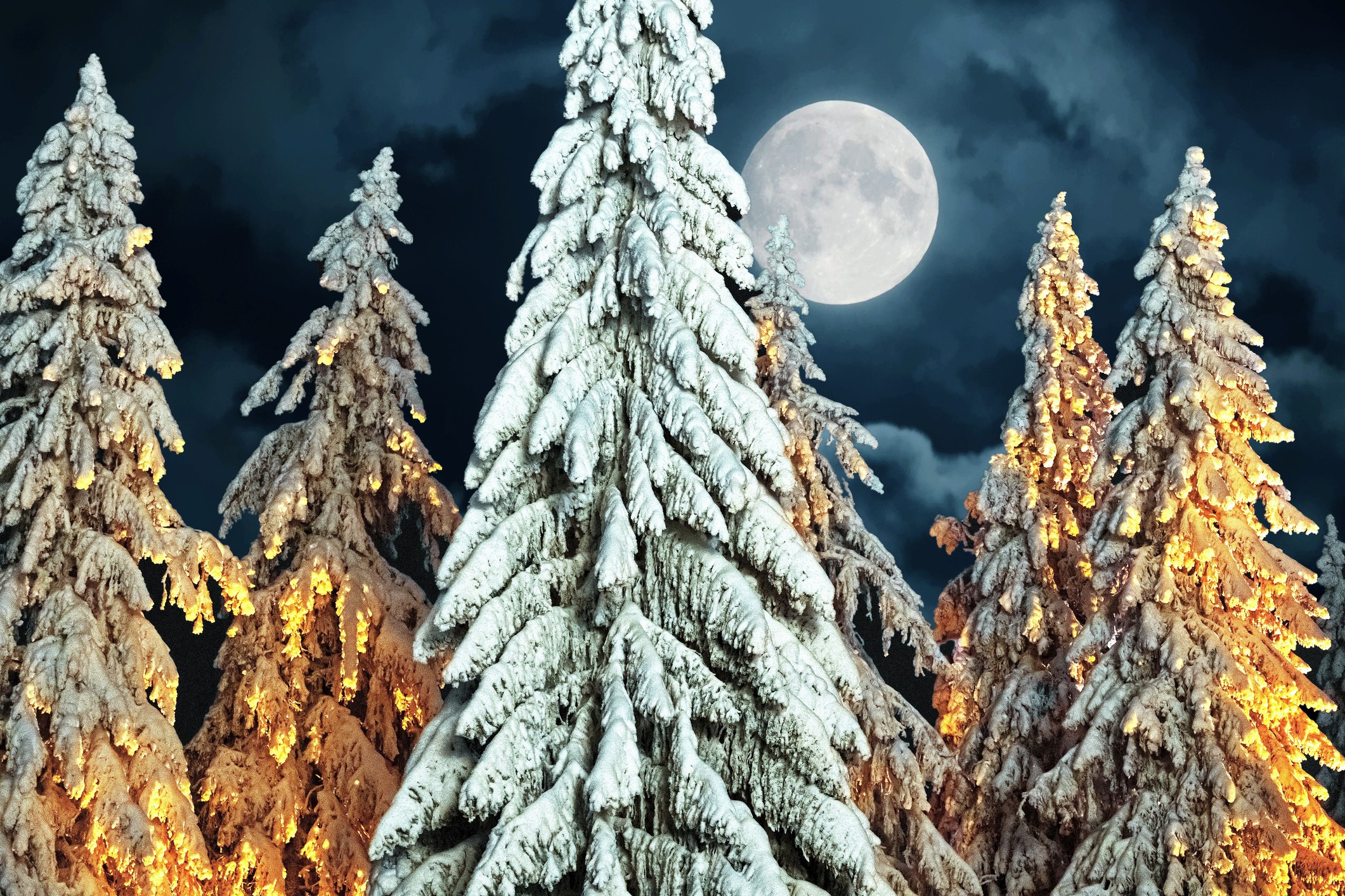 Picture of houses on a hill