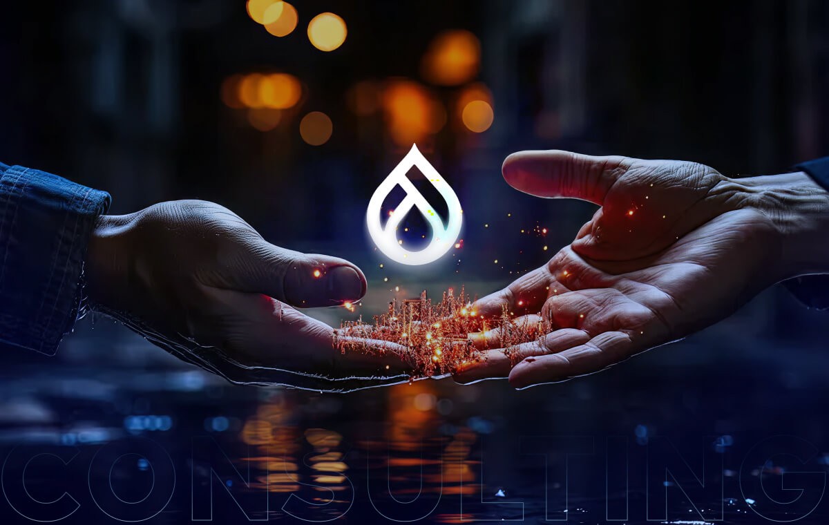 Drupal Consulting Services Partner