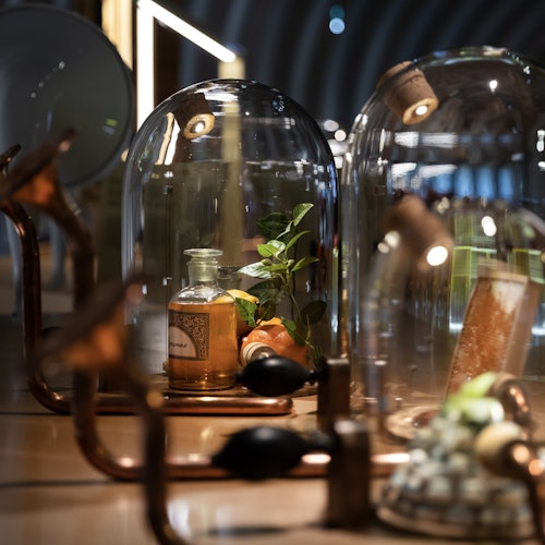 A decorative display with glass domes encasing a small plant, a bottle, and other items on a reflective surface.