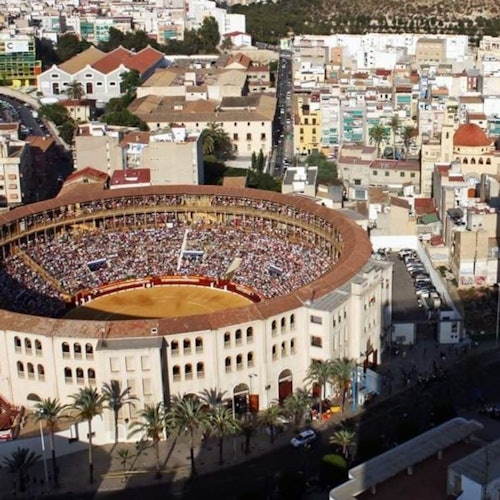 ชมเวทีมวยปล้ำอาลิกันเต้