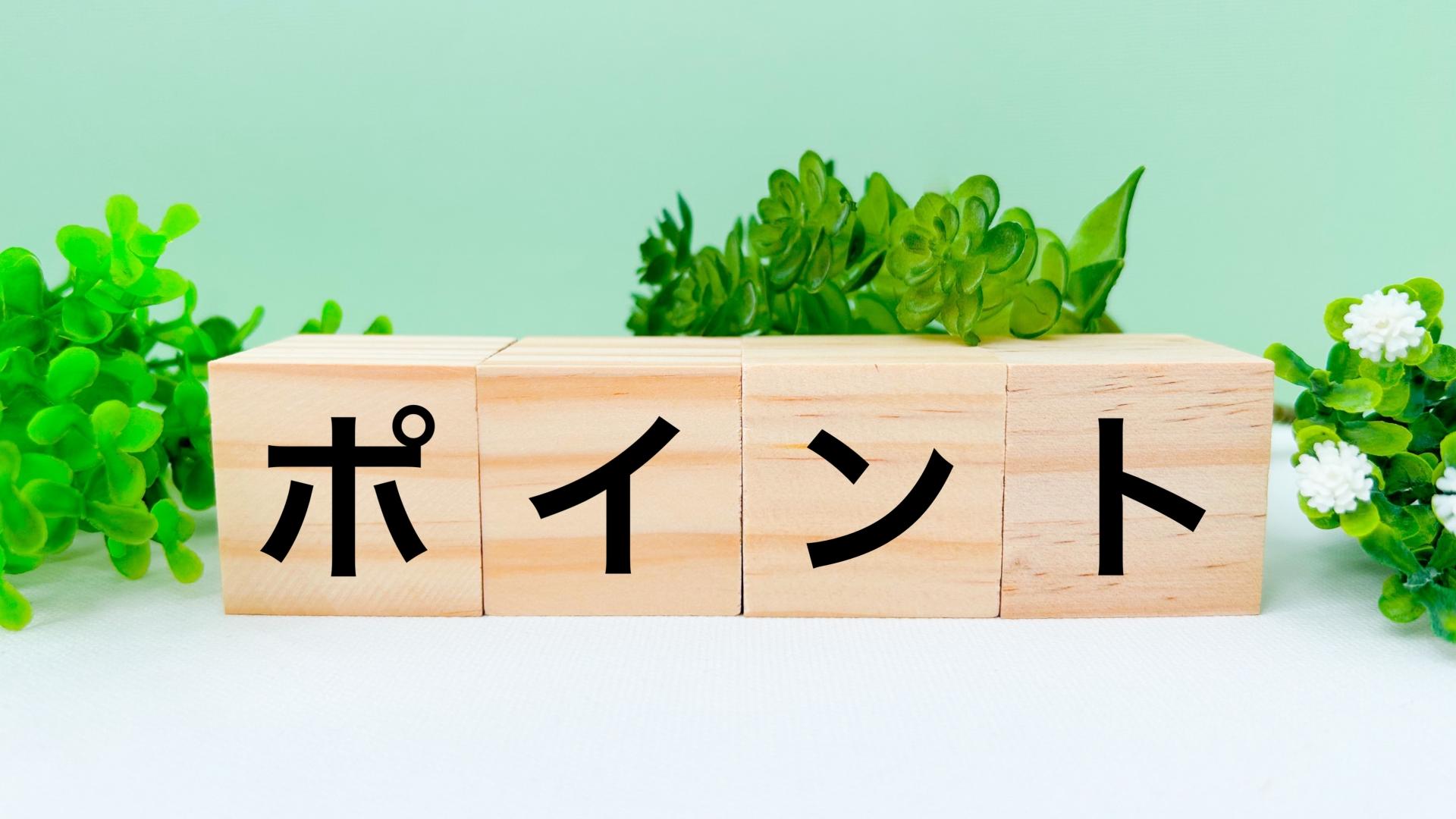 木のブロックに書かれた日本語の『ポイント』