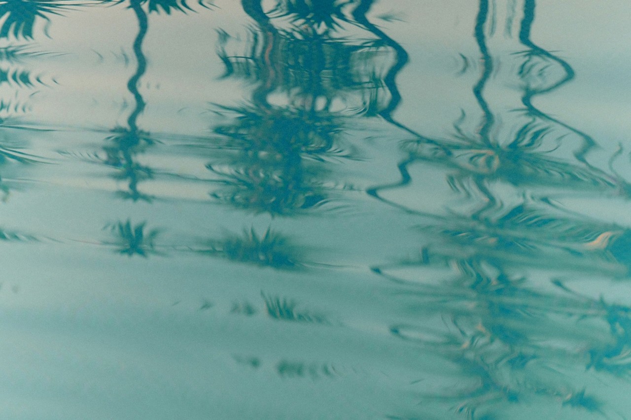 Blue water rippling and reflecting palm trees mood for partner Holiday Inn Club