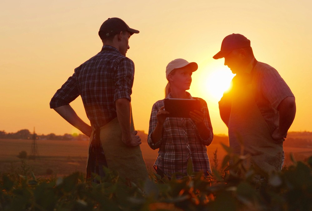 Trois travailleurs agricoles discutant dans un champ au coucher du soleil, planifiant les opérations agricoles au Canada.
