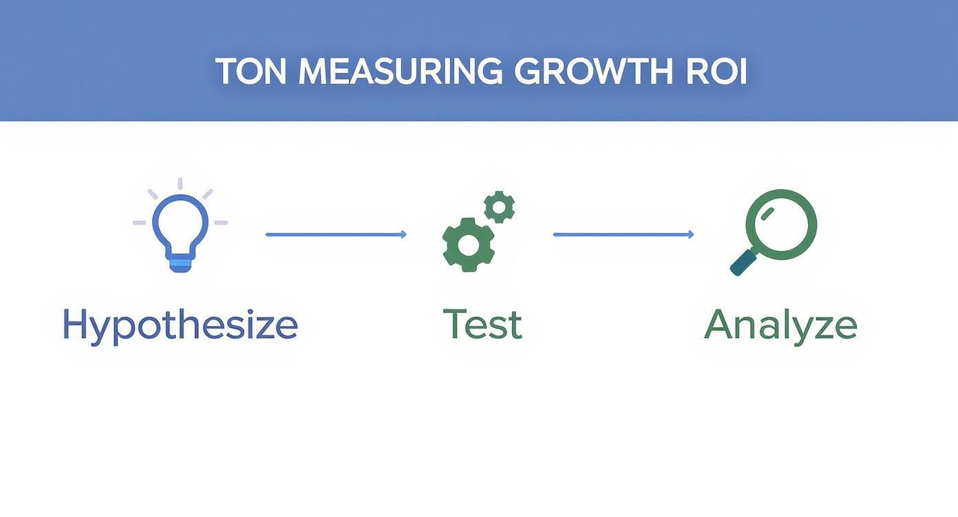 Infographic about e-commerce growth strategy