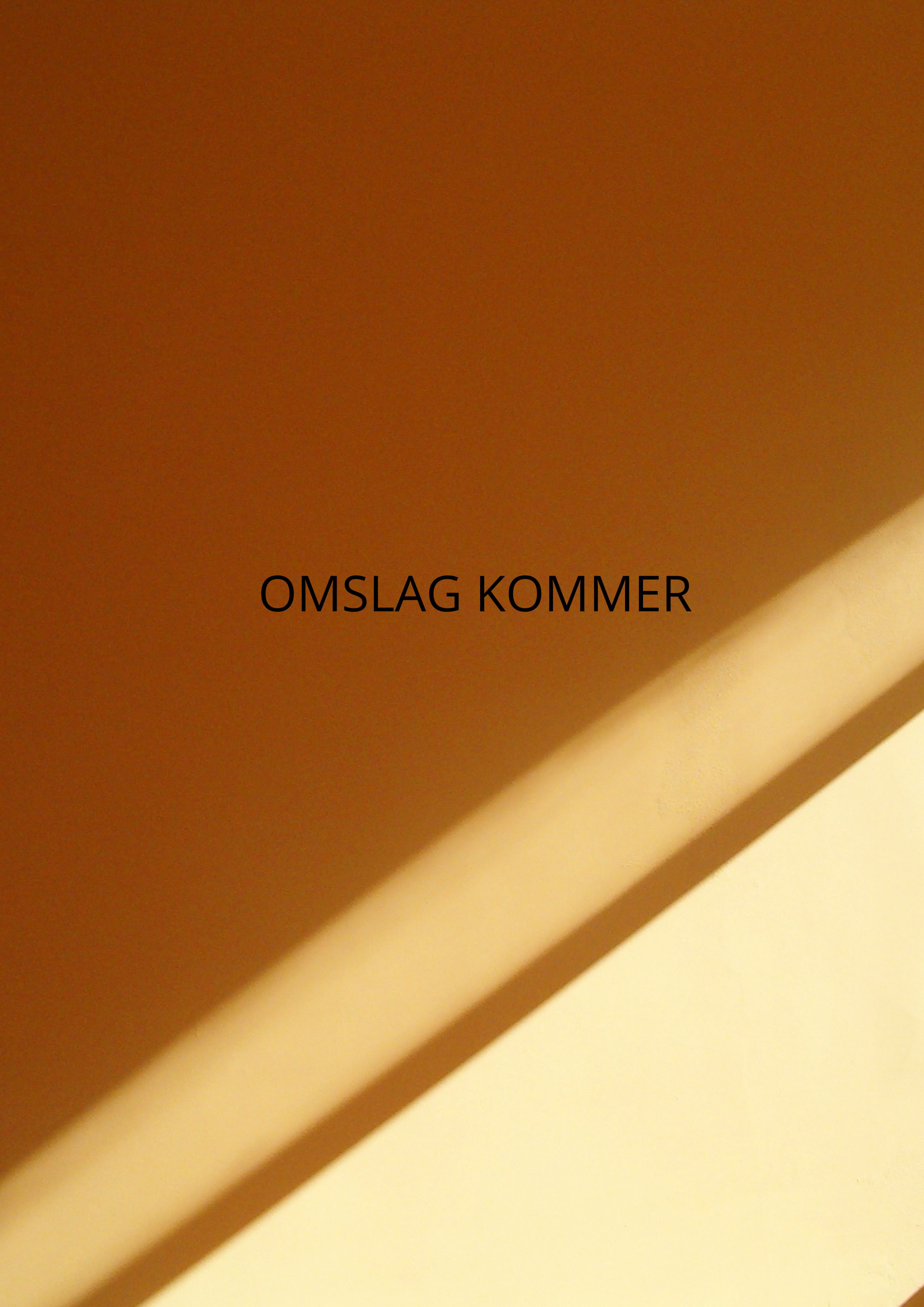 Bokomslag for Affeksjonsverdi