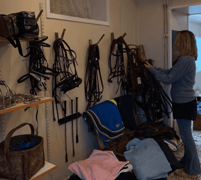Begagnad hästutrustning till salu i secondhandbutiken Tassa och Trava.