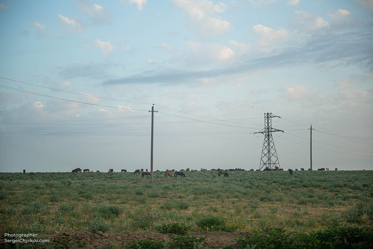 Bukhara, Uzbekistan by photographer Sergei Chyrkov. Бухара, Узбекистан, фотограф: Сергей Чирков.