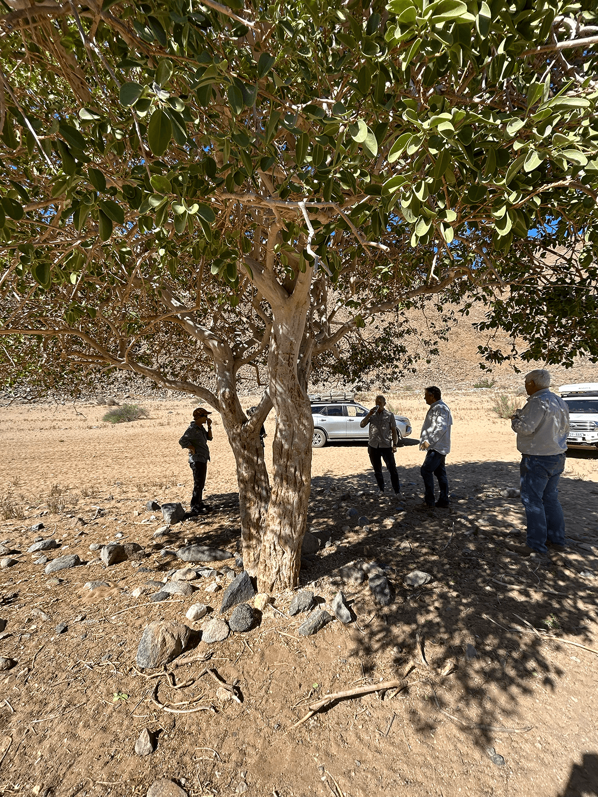 Safari & Shutter Men standing under tree on Overland Tour