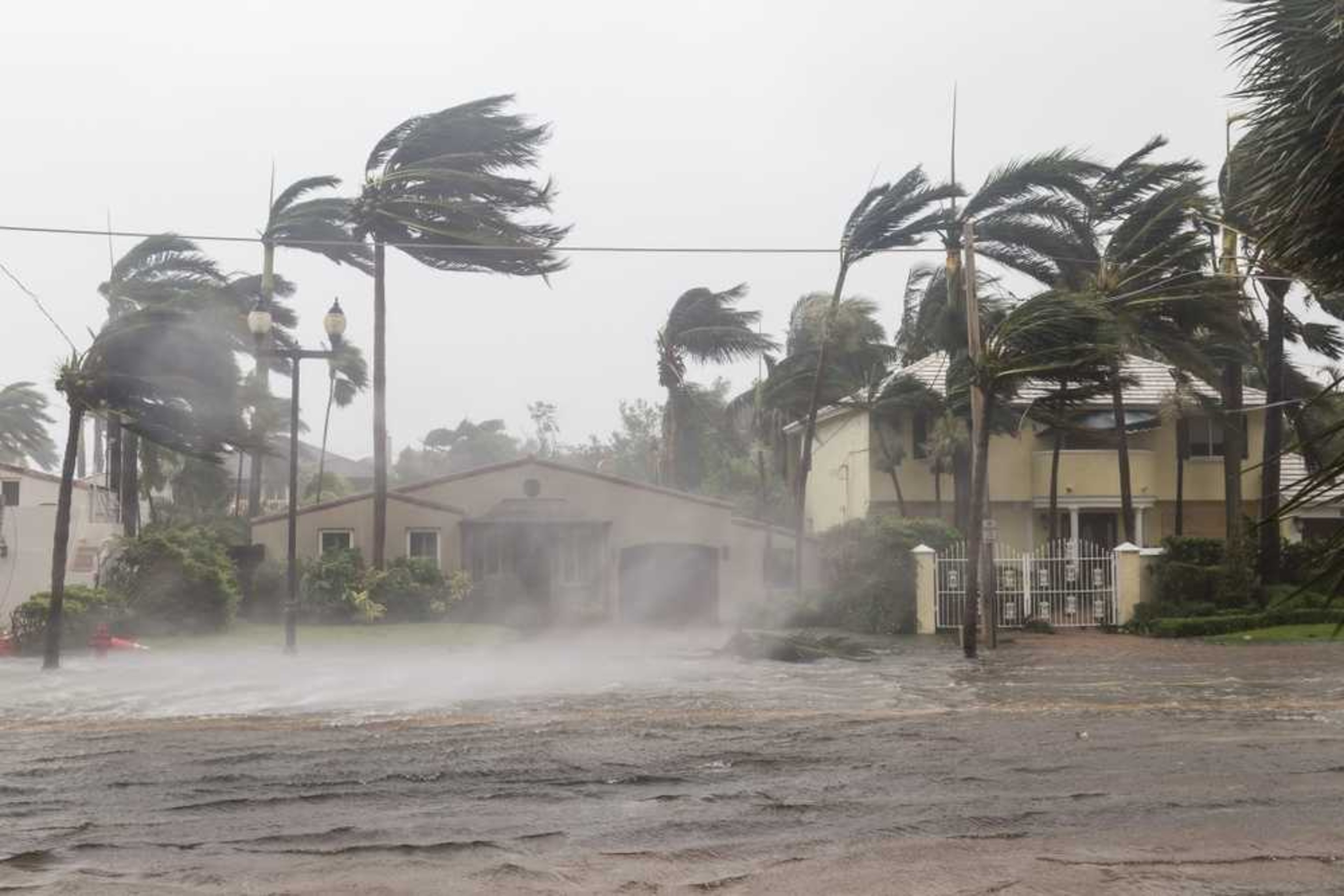 Wind / Storm Damage