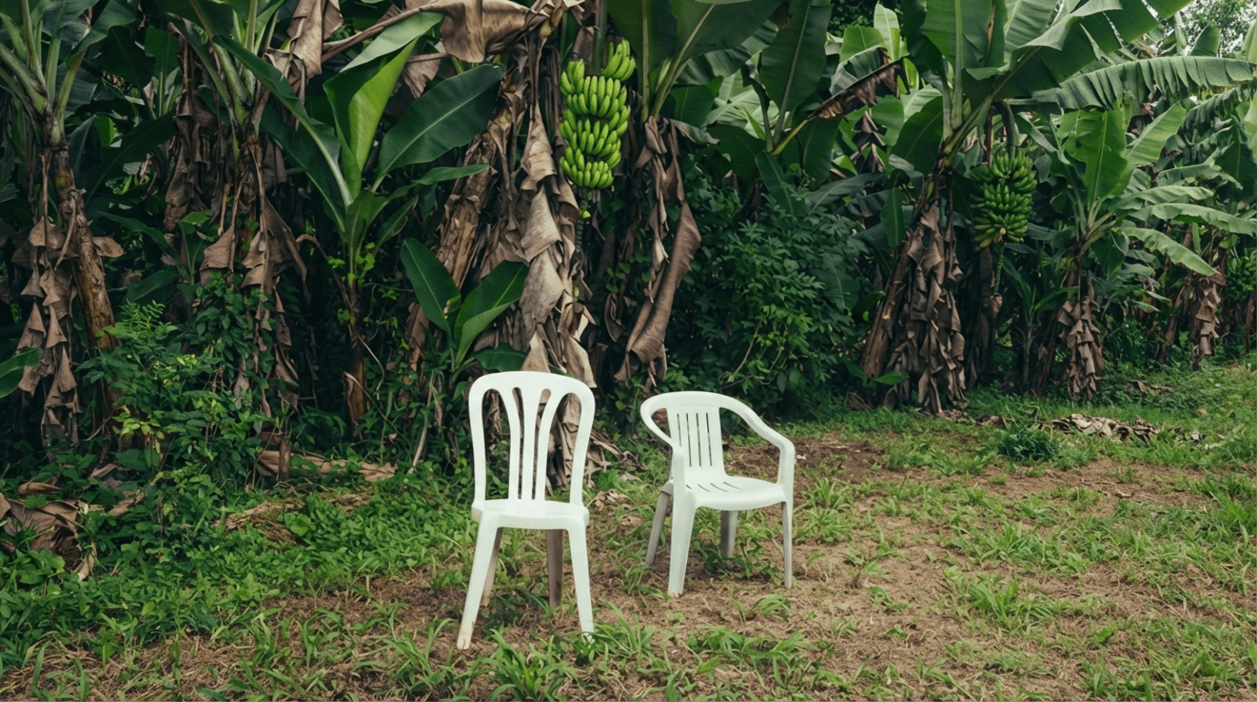 Copertina dell’album “Debí Tirar Más Fotos” di Bad Bunny con due sedie di plastica vuote, simbolo delle radici e della nostalgia portoricana
