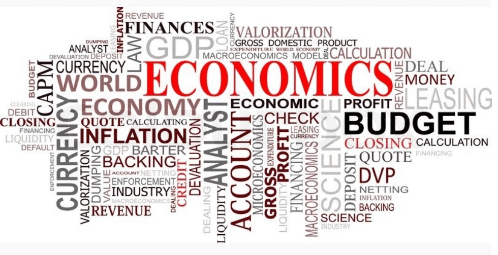 High school student reviewing economics research papers for journal submission