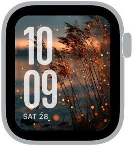 firefly fm Apple Watch face preview 1 featuring summer.