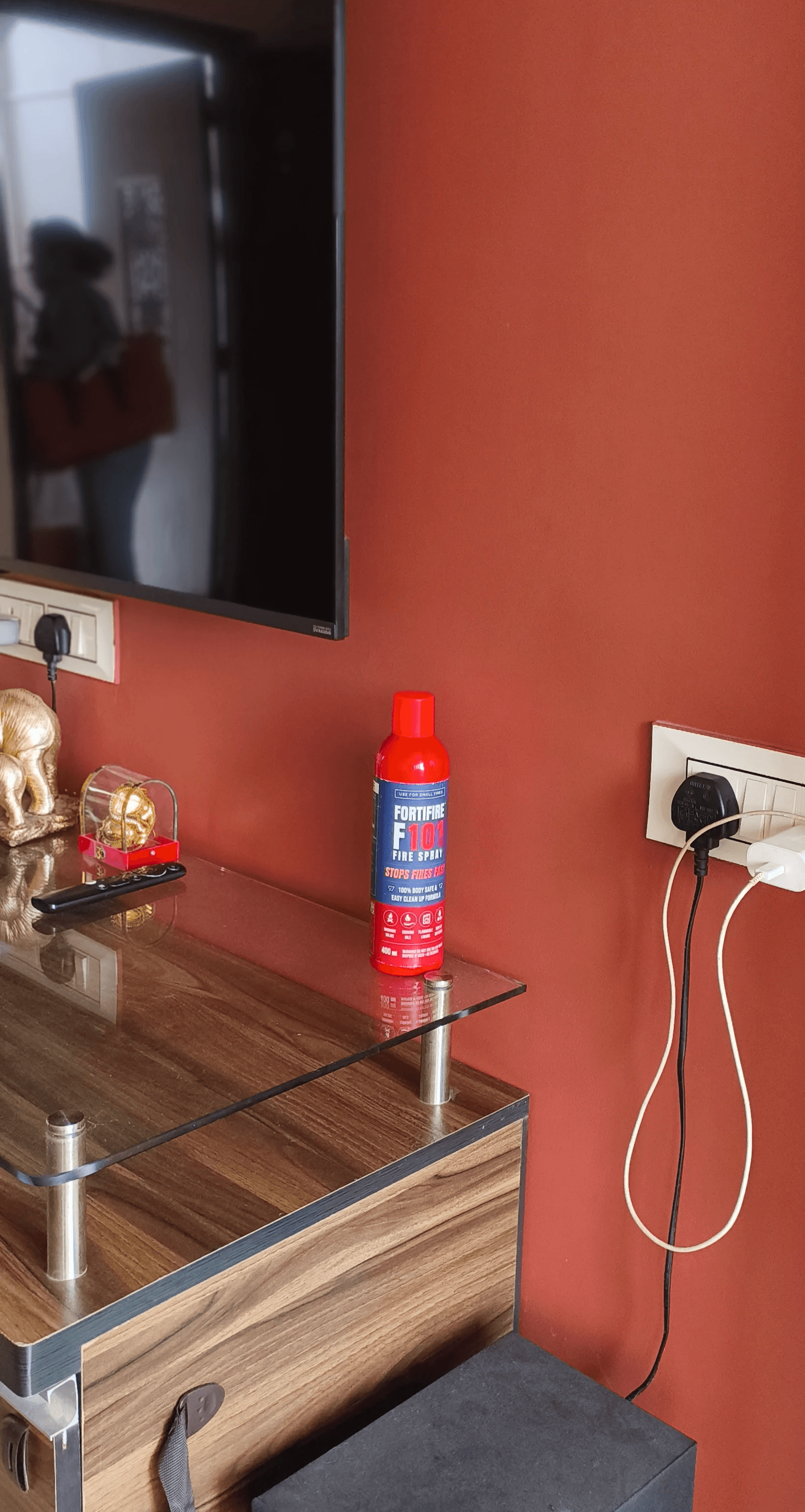 Fortifire101 - Protecting Kitchen Fires of India