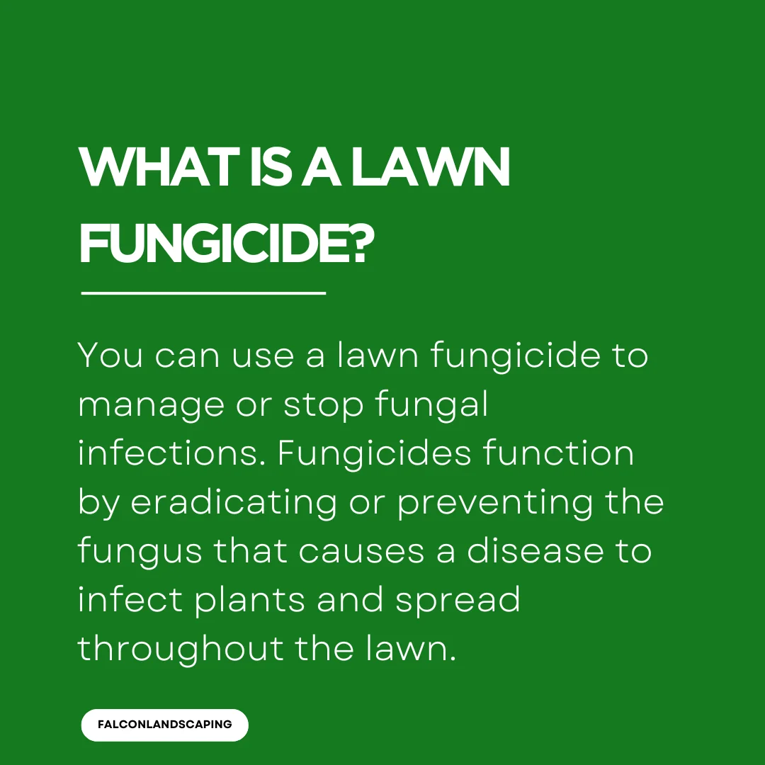 A definition post explaining what is a lawn fungicide