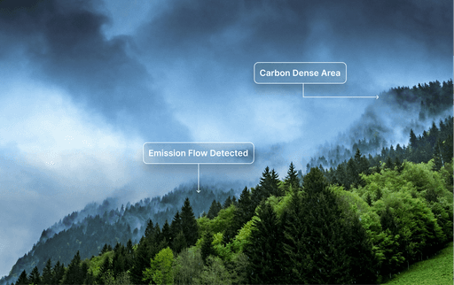 A misty forest with overlay labels showing “Carbon Dense Area” and “Emission Flow Detected” — illustrating real-time carbon tracking