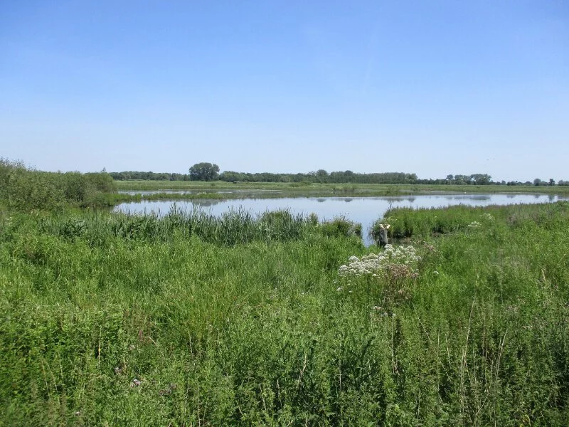Zouweboezem