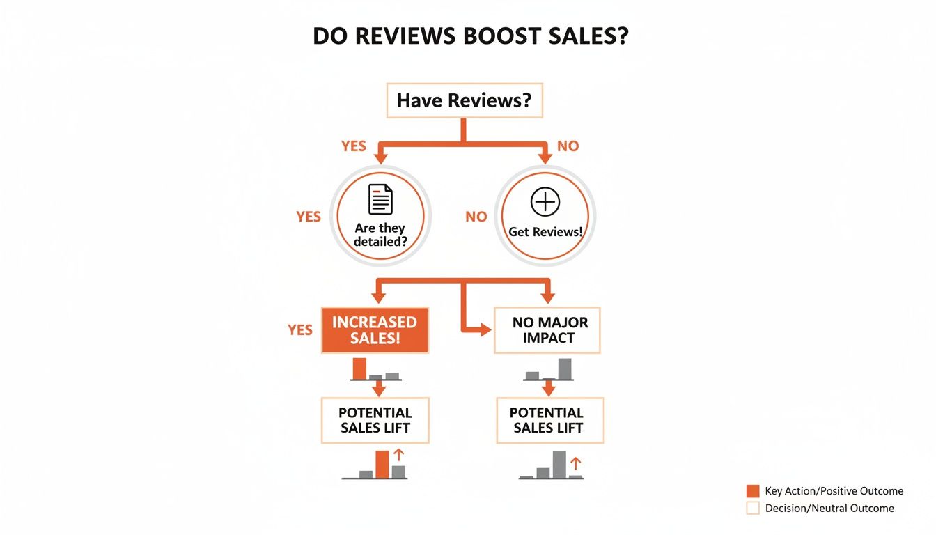 Flowchart illustrating how product reviews, especially detailed ones, can boost sales and impact business outcomes.