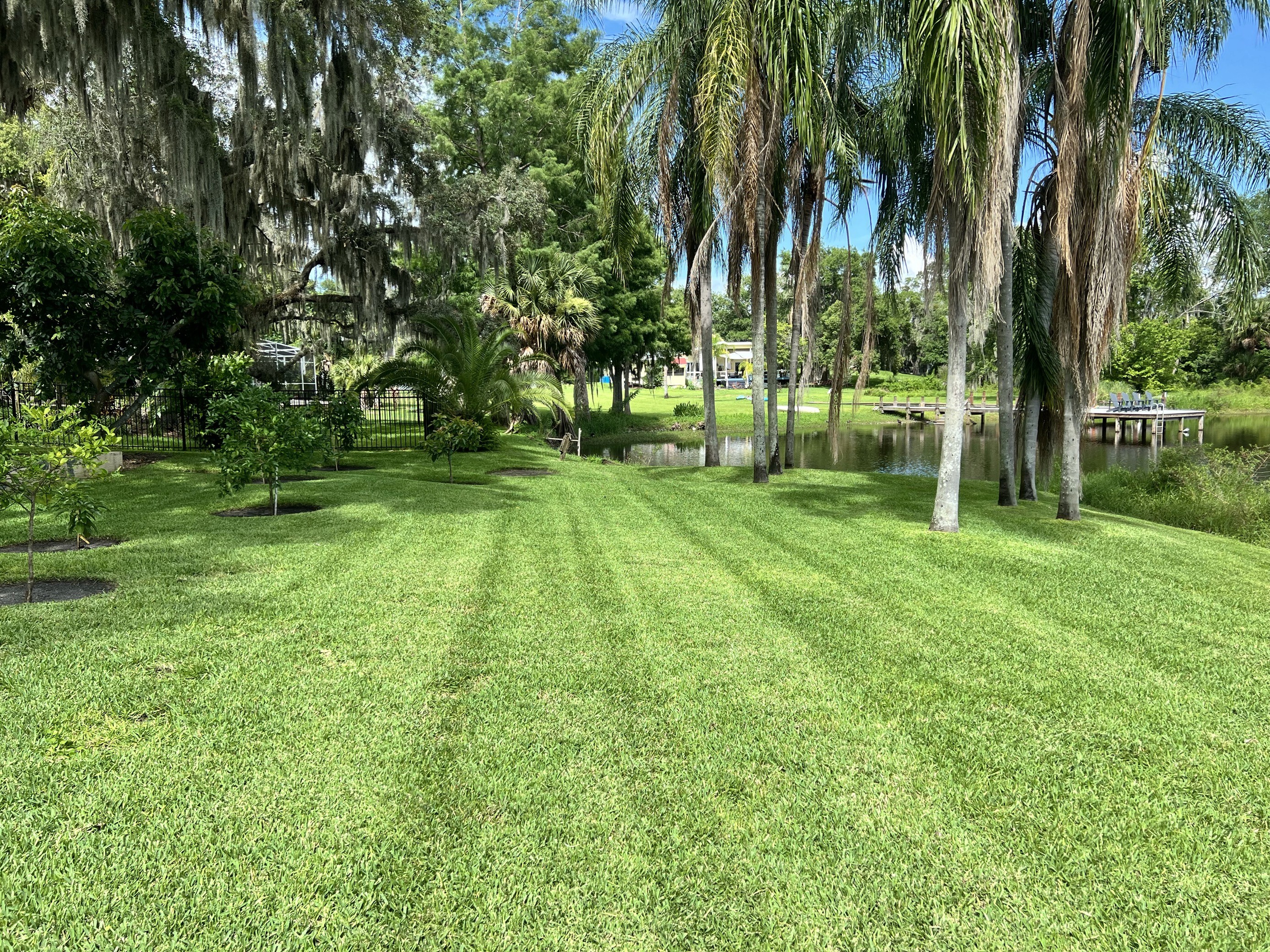 Completed residential lawn care project Orlando FL by Superior Image