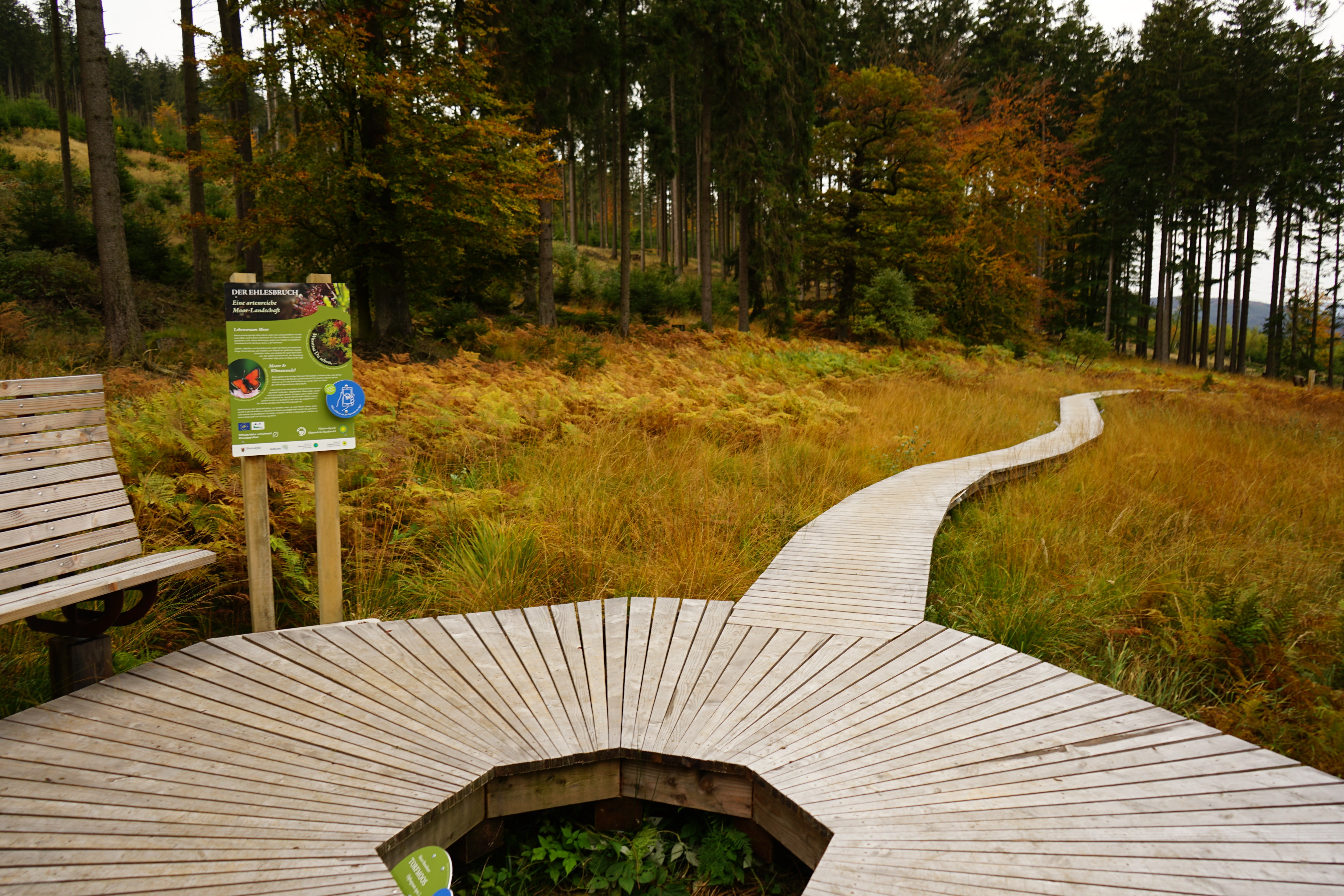 Steeg über die Moorlandschaft auf der Traumschleife Gipfelrauschen