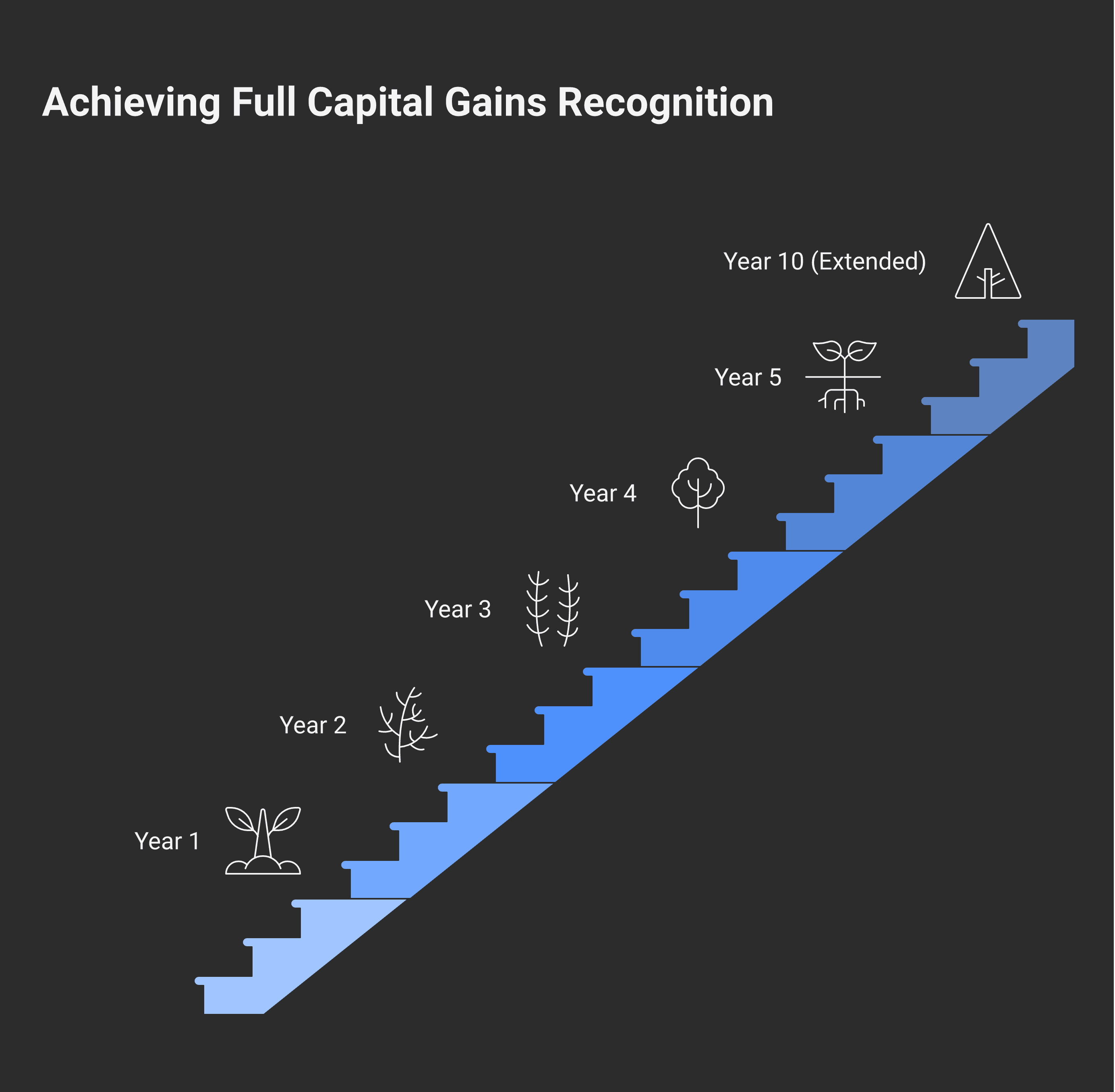 Stepped chart showing the 5-year capital gains reserve — year 1 minimum 20% recognition through year 5 full 100%; alternative 10-year reserve for intergenerational transfers and farm/fishing/QSBC transfers.
