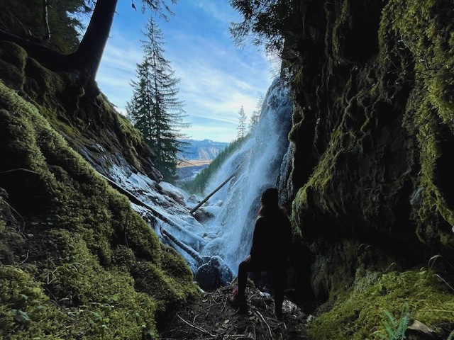 The image featured in the middle of the about us page