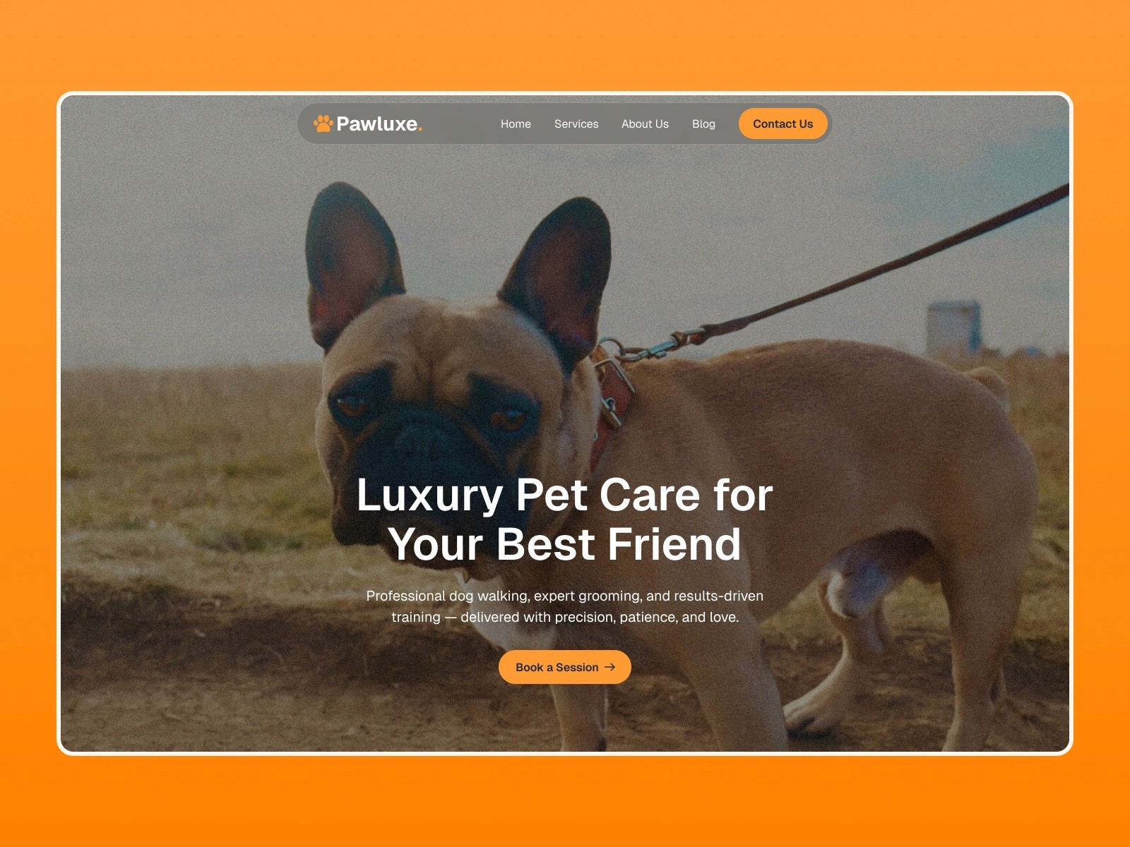 Pawluxe — 现代专业企业服务官网设计灵感
