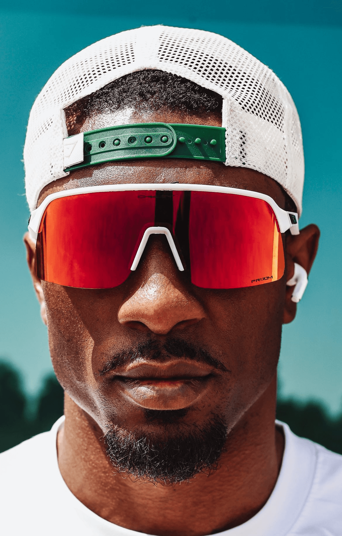 Shiba Inu dog walking on leaf-covered ground