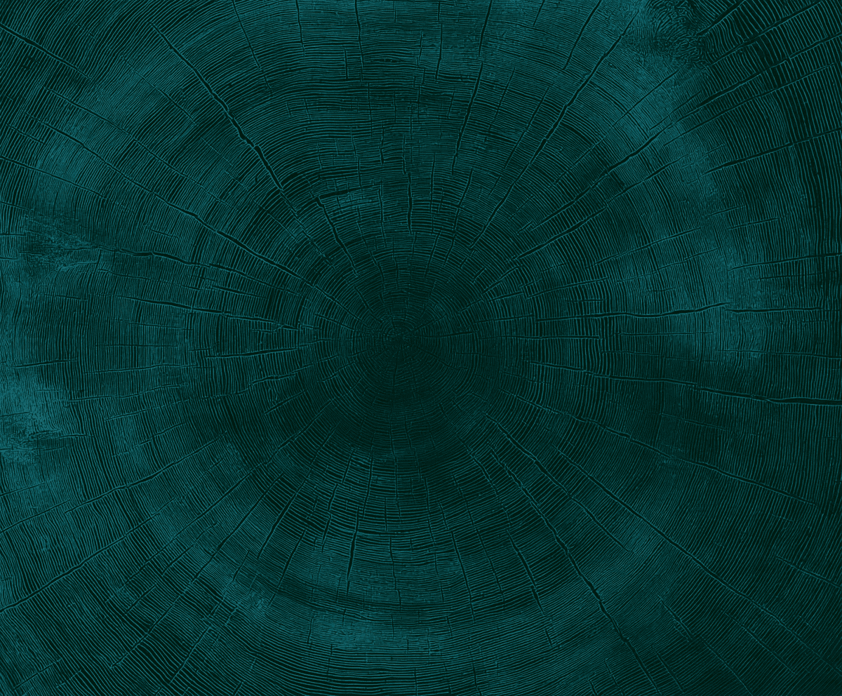 A silhouette of a person standing amidst vibrant swirling colors of teal and orange.